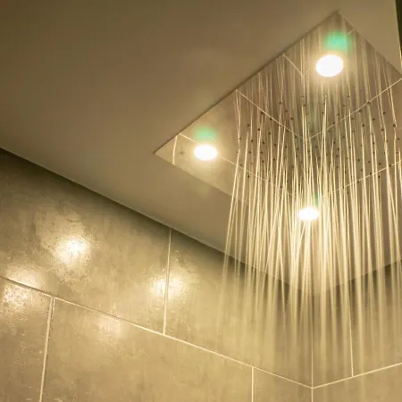 Avec By Jordans Collection *