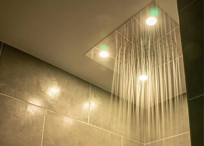 Avec By Jordans Collection *